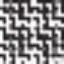negre/print pota de gall bn