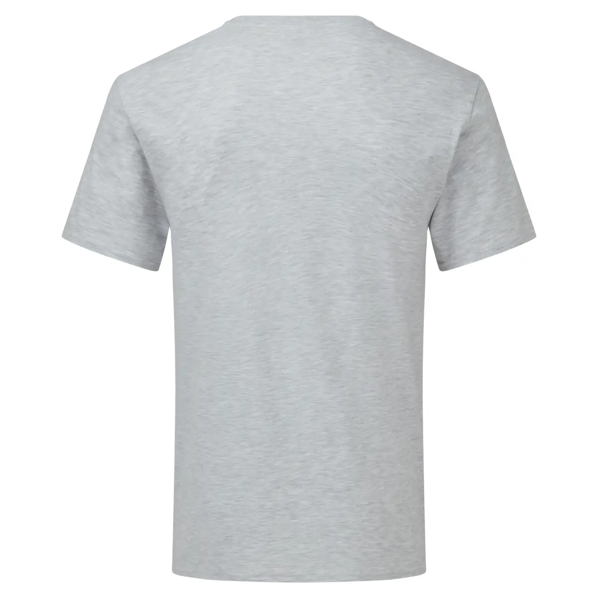 ICONIC 150 V-NECK - gris vigoré