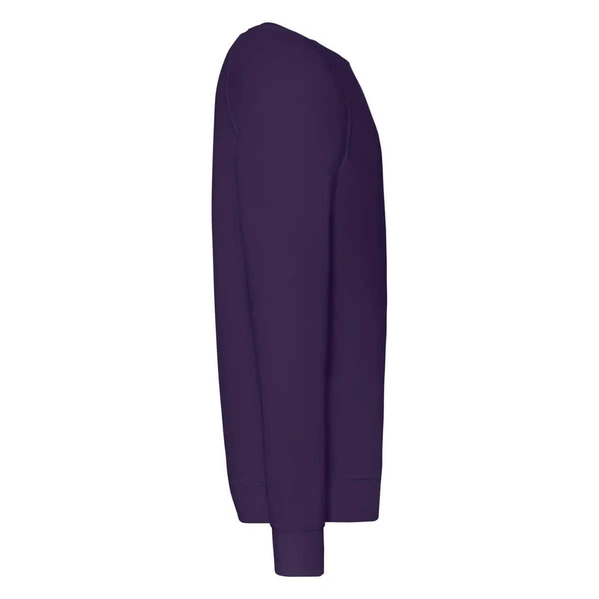 RAGLAN LIGHT OUTLET - purple