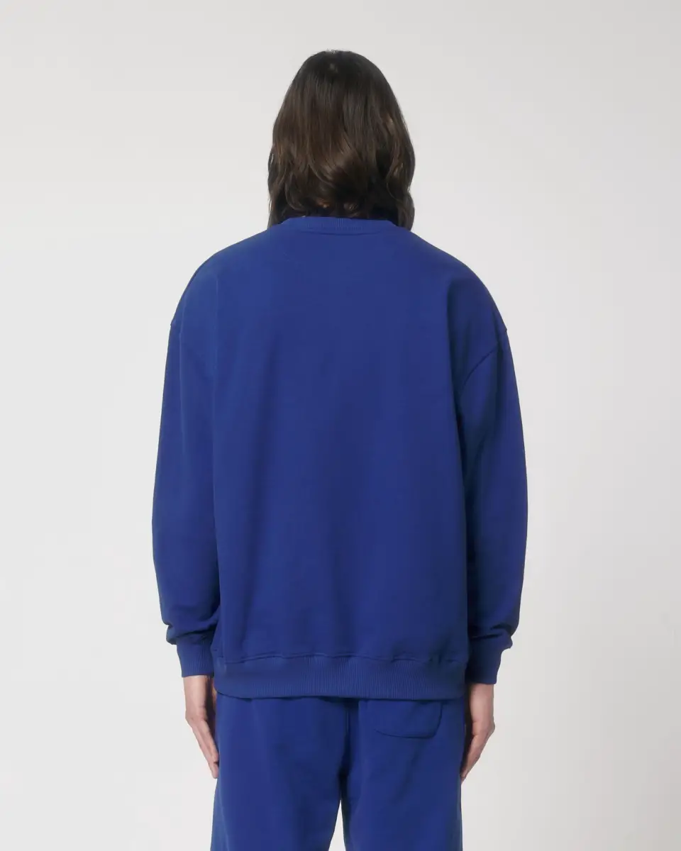 Ledger Dry - worker blue