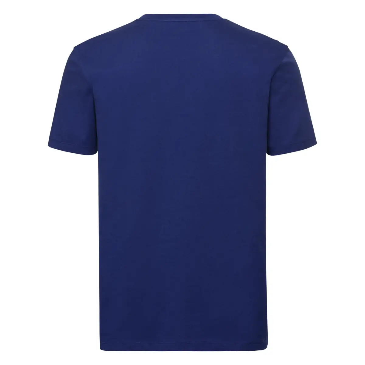 108M AUTHENTIC TEE PURE ORGANIC OUTLET - bright royal