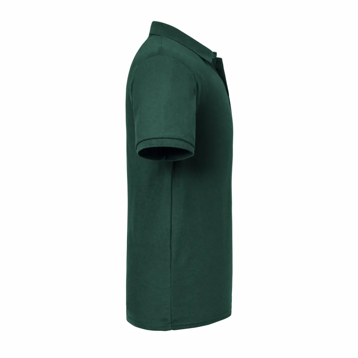 570M POLO AUTHENTIC ECO - bottle green
