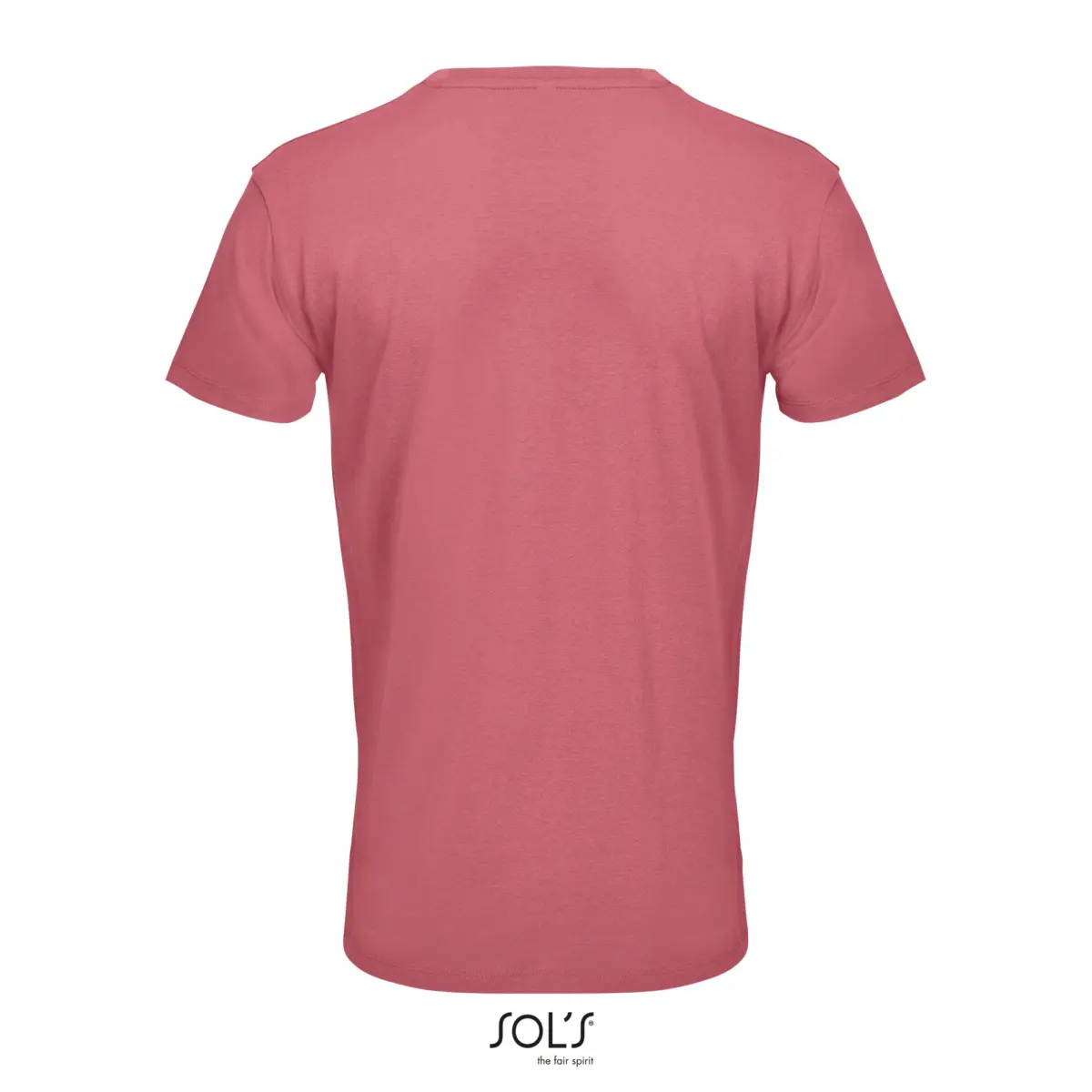 REGENT - rosa folk