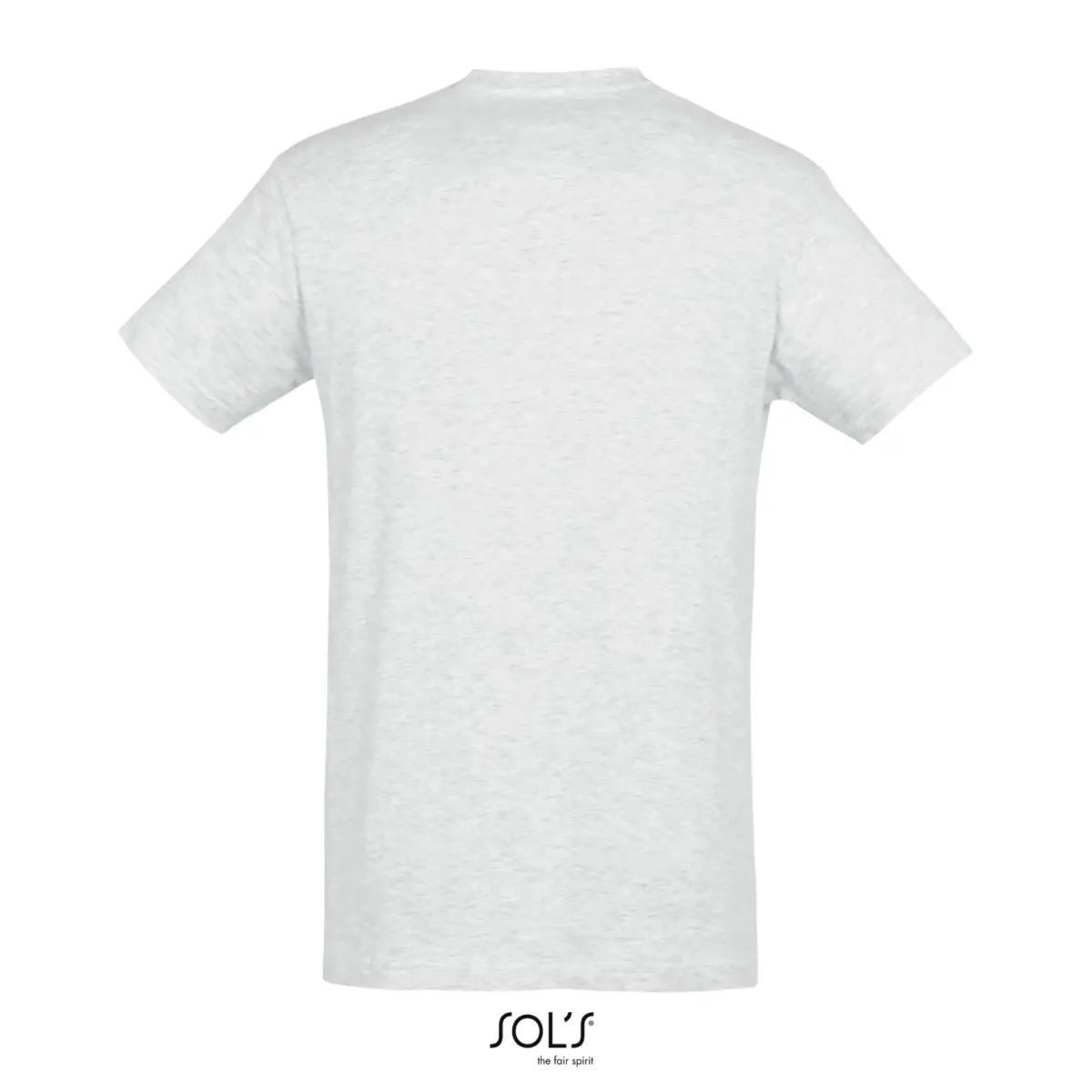 REGENT - gris cendra