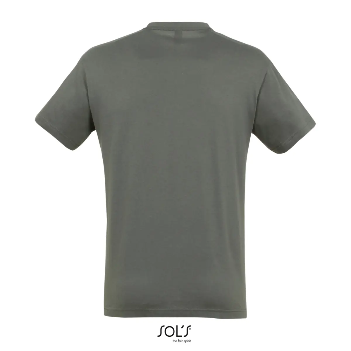 REGENT - gris zinc