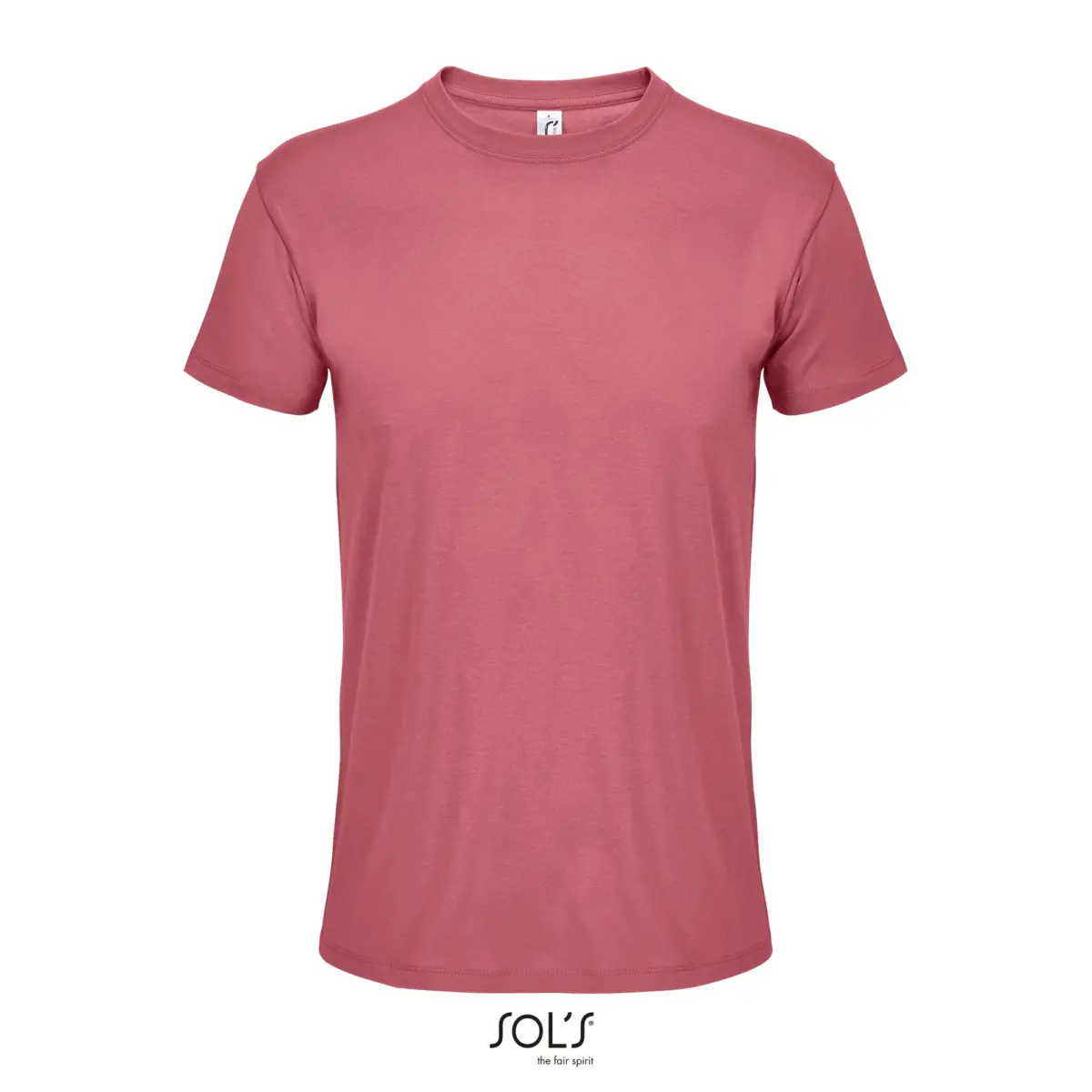 REGENT - folk rose