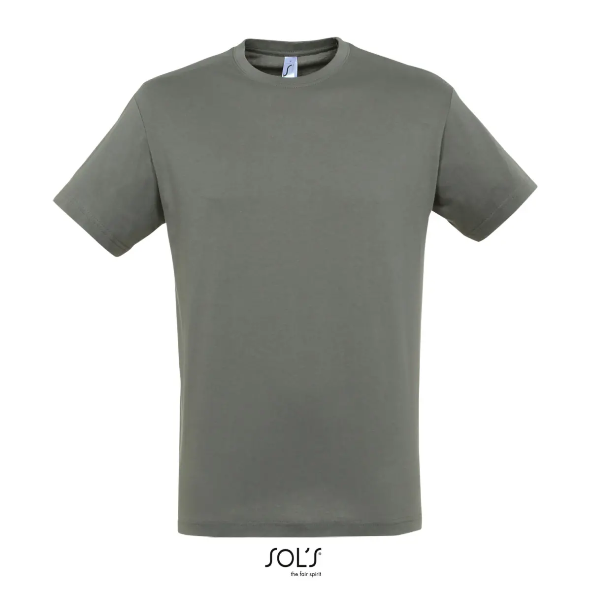 REGENT - gris zinc