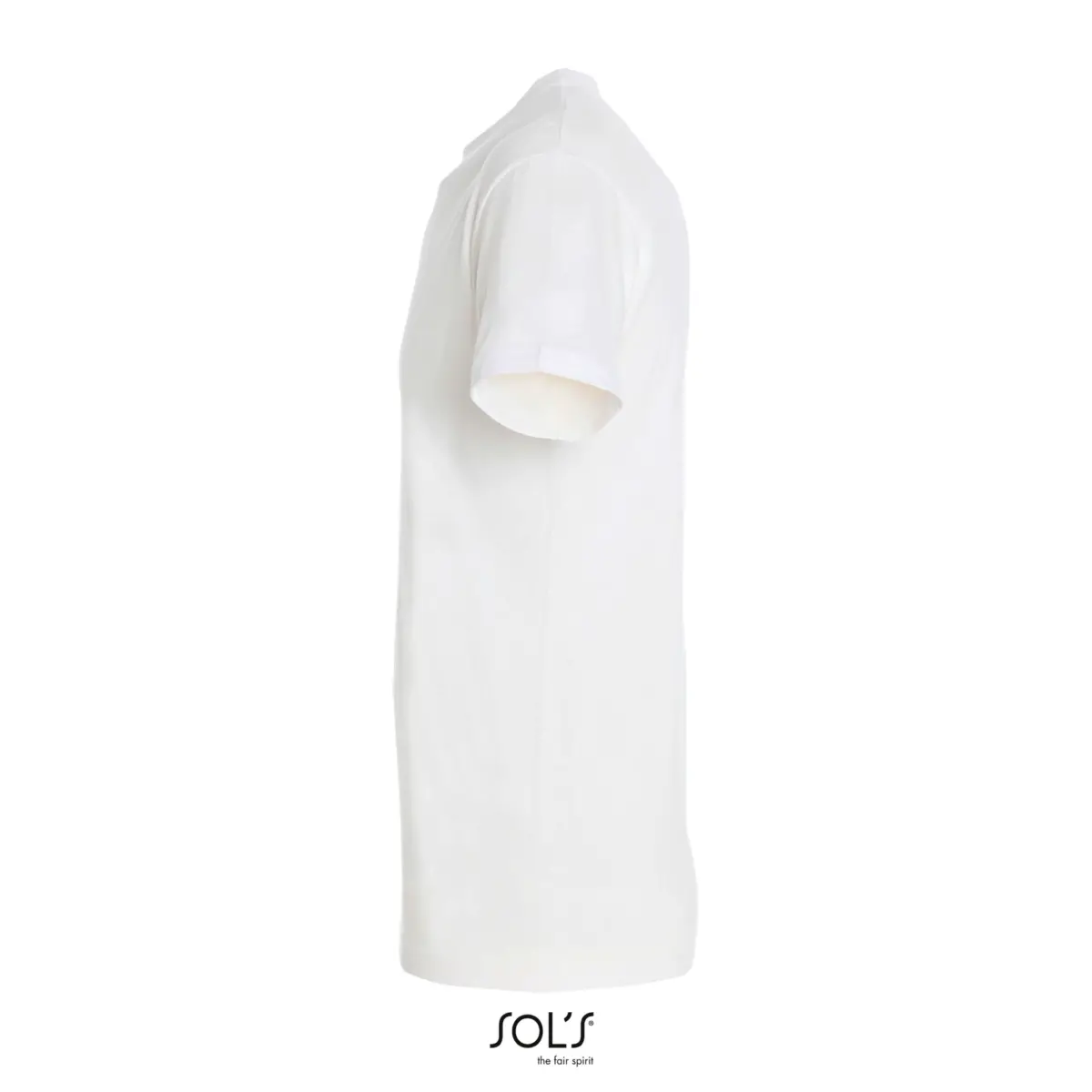 REGENT - blanco absoluto