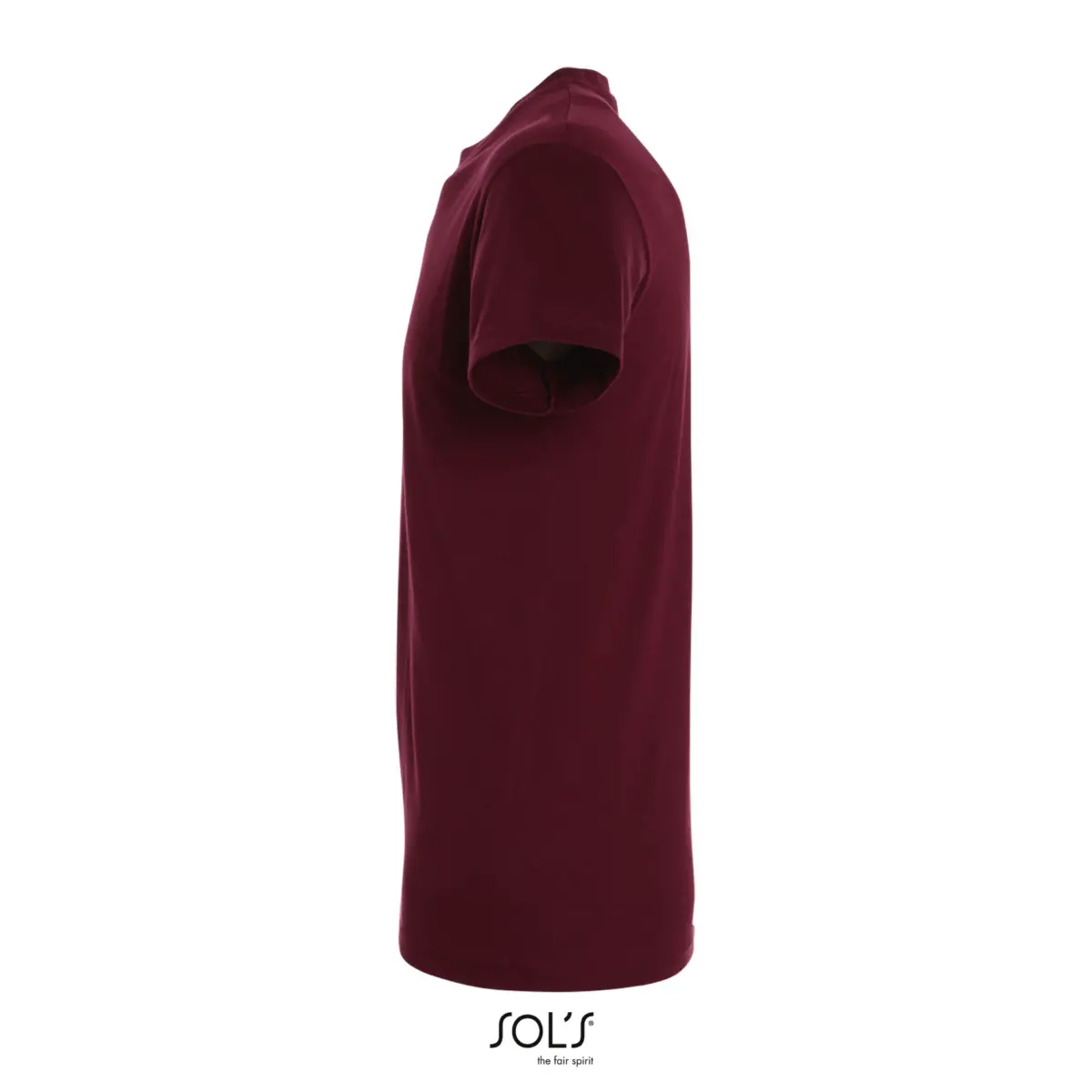 REGENT - burgundy