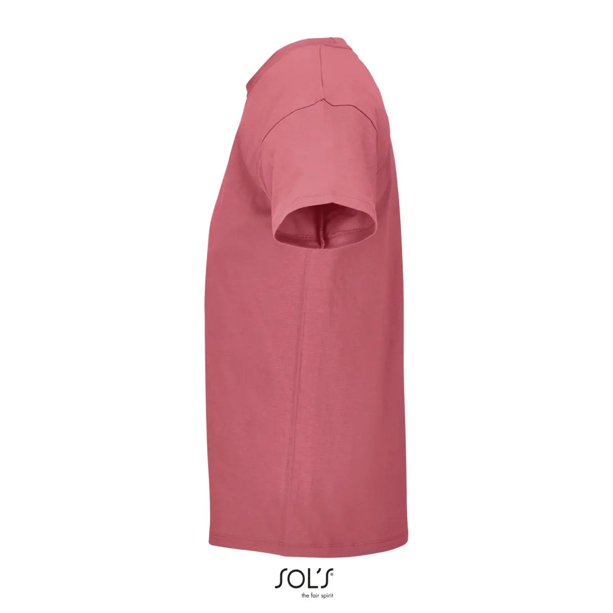 REGENT - rosa folk
