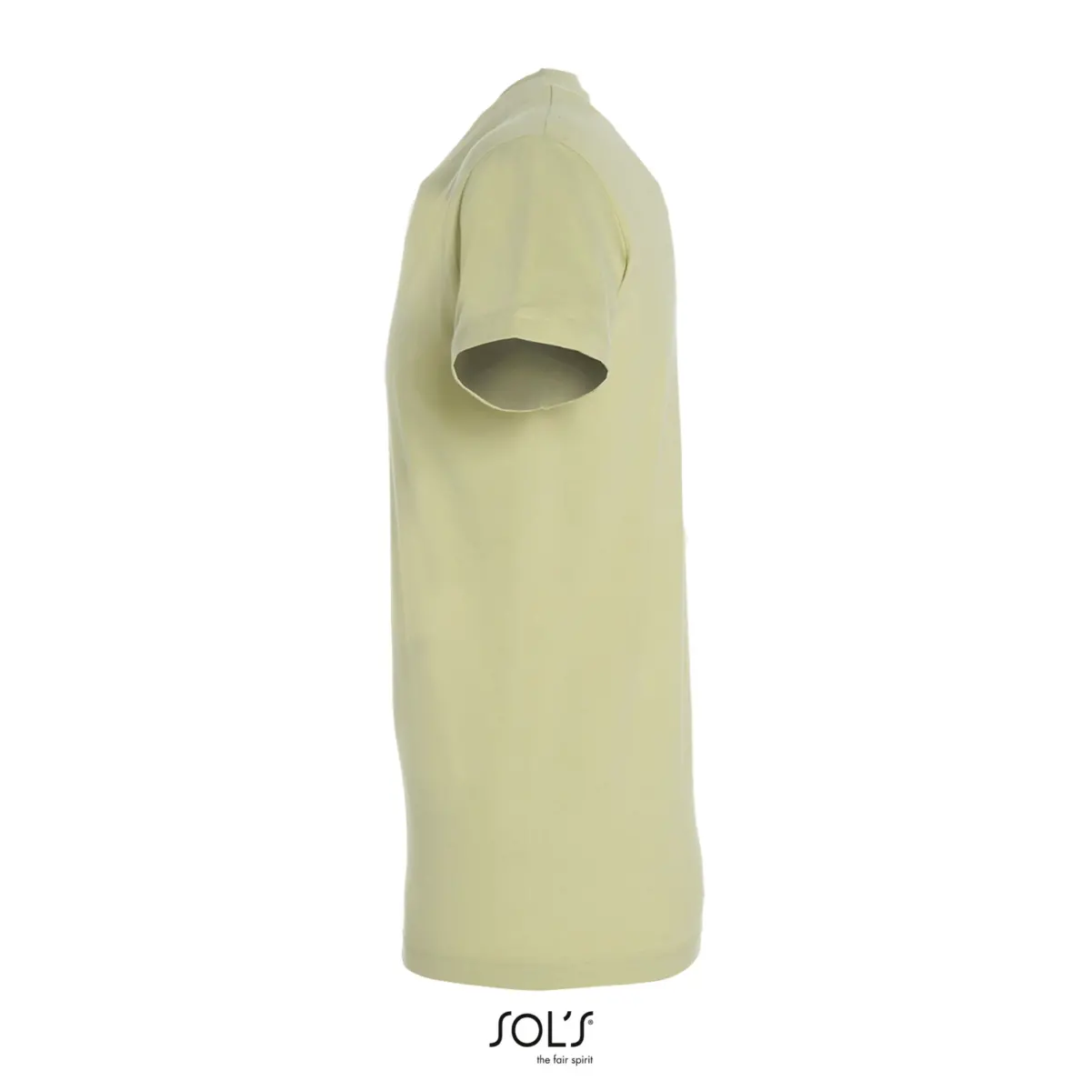 REGENT - verde tilo