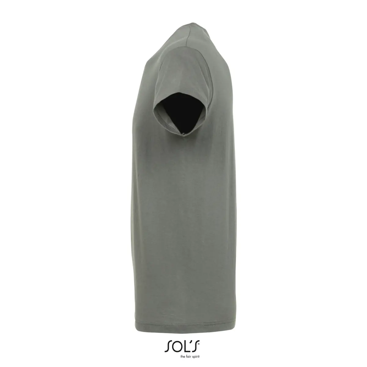 REGENT - gris zinc