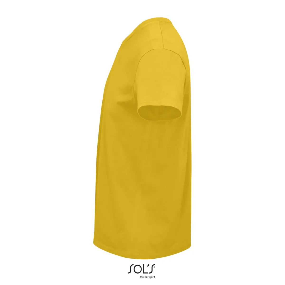CRUSADER MEN - sunflower yellow