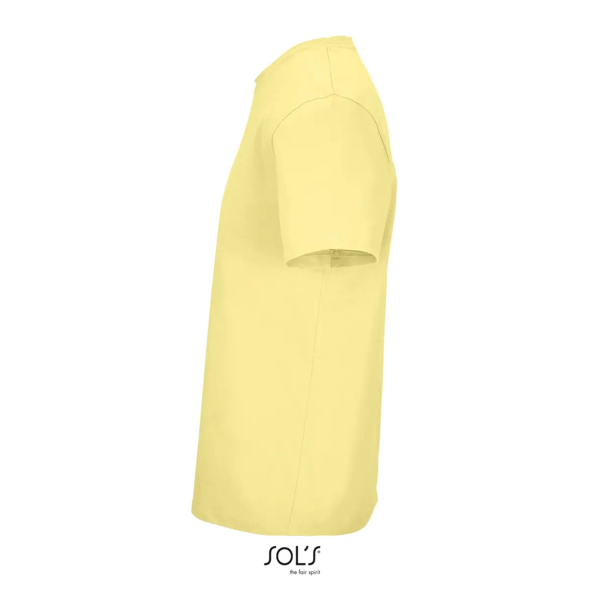 LEGEND - light yellow