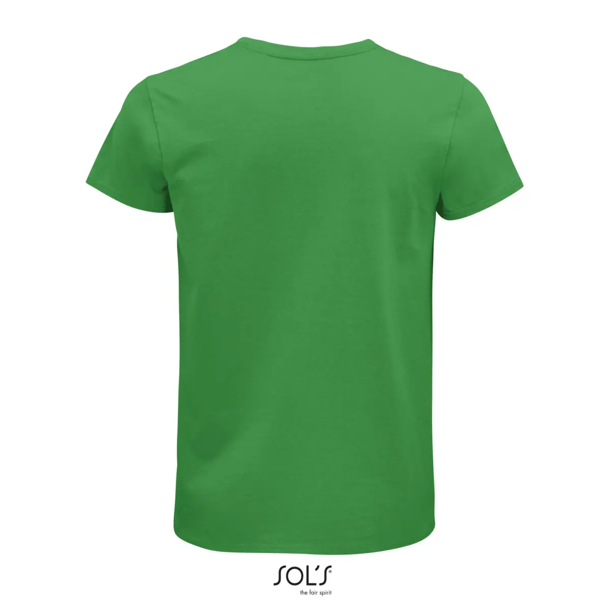 PIONEER MEN - verde