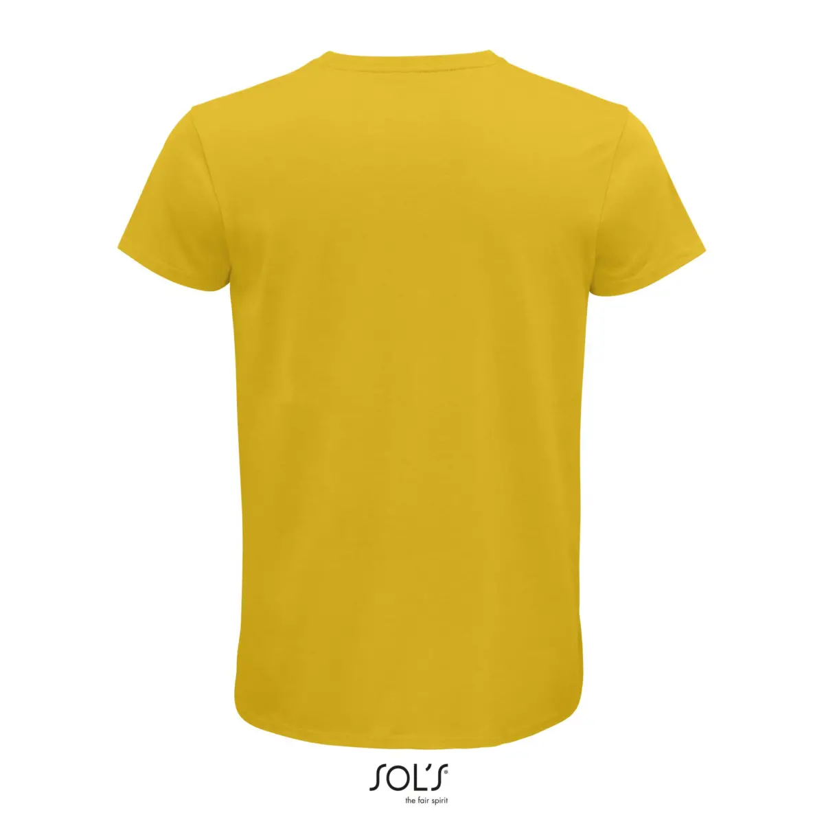 PIONEER MEN - groc girasol