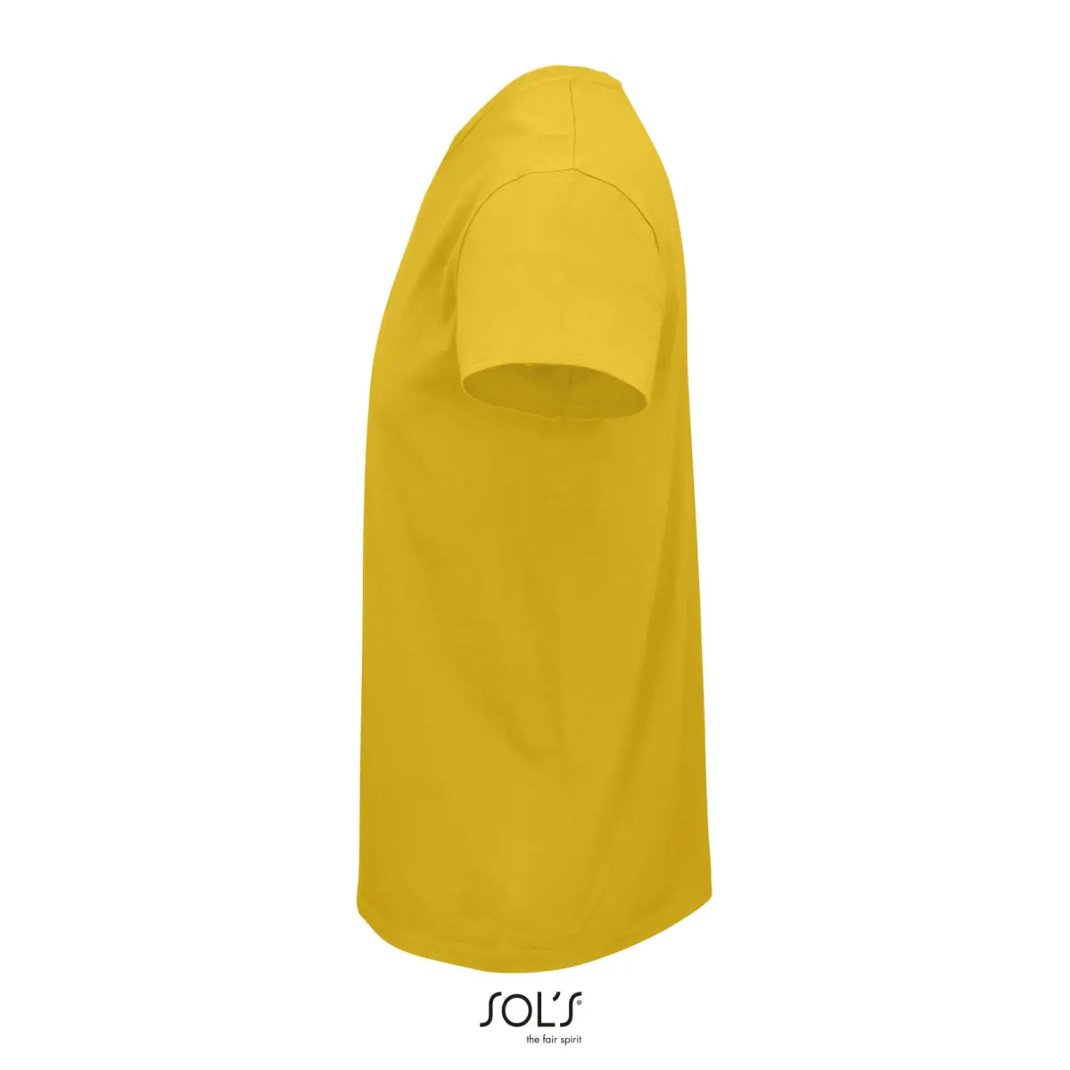 PIONEER MEN - amarillo girasol