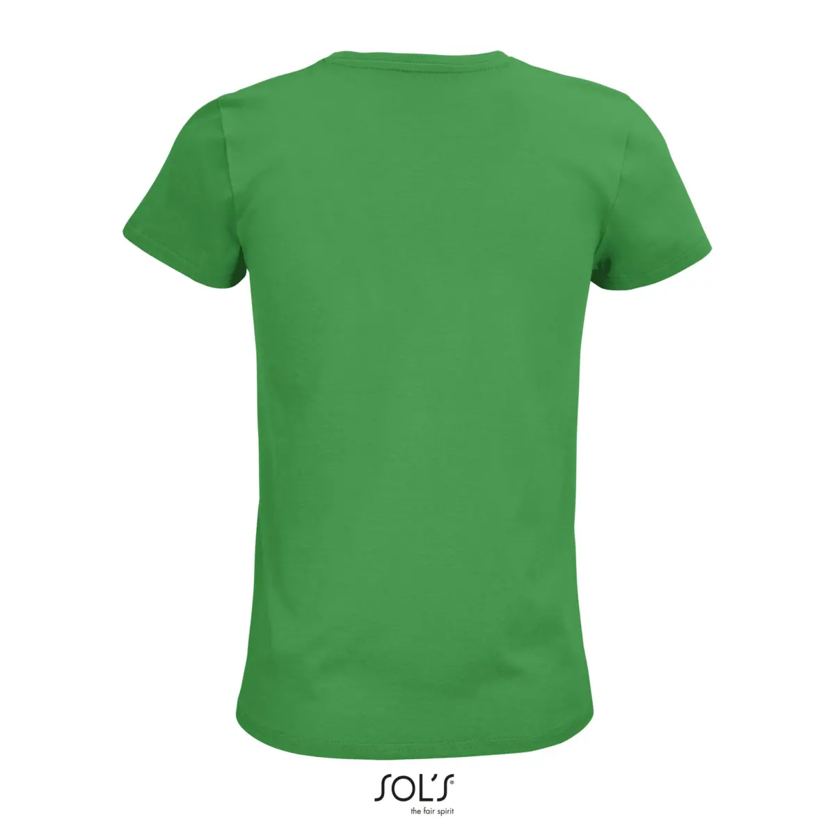 PIONEER WOMEN - verde