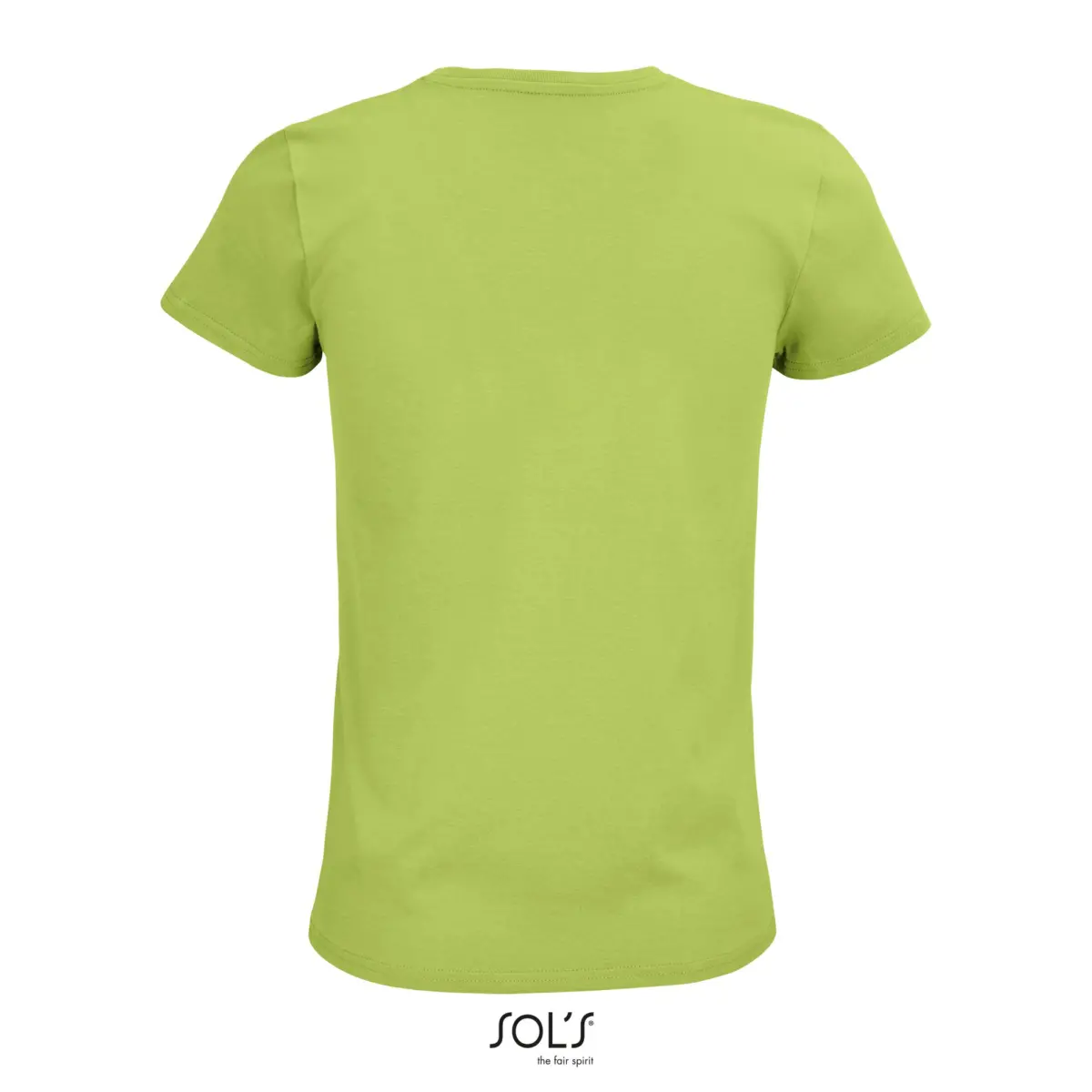 PIONEER WOMEN - verde manzana