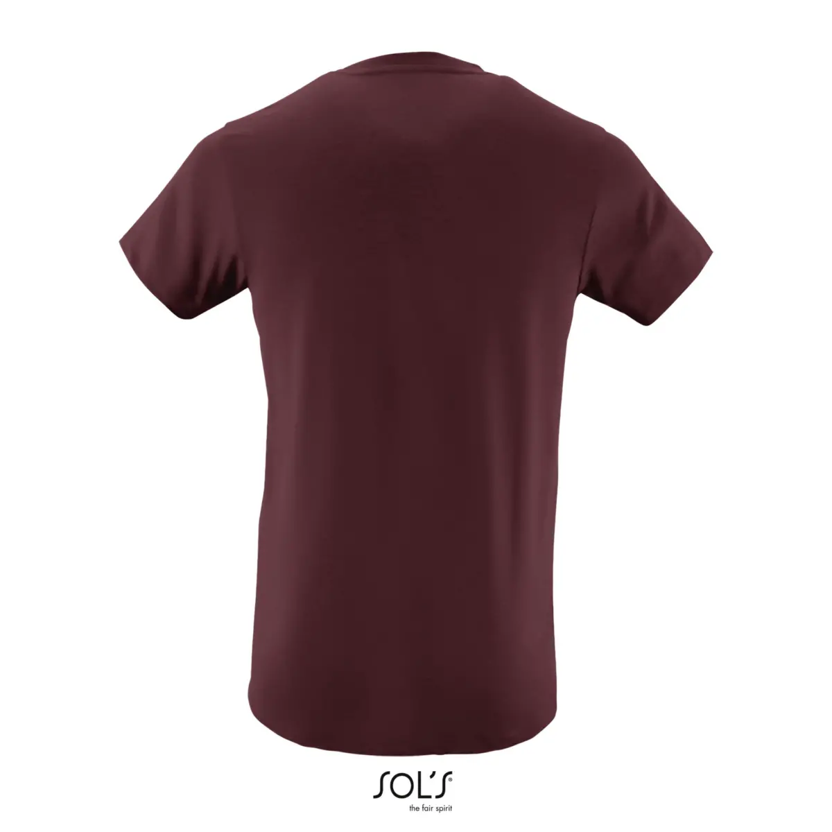 REGENT FIT - burgundy