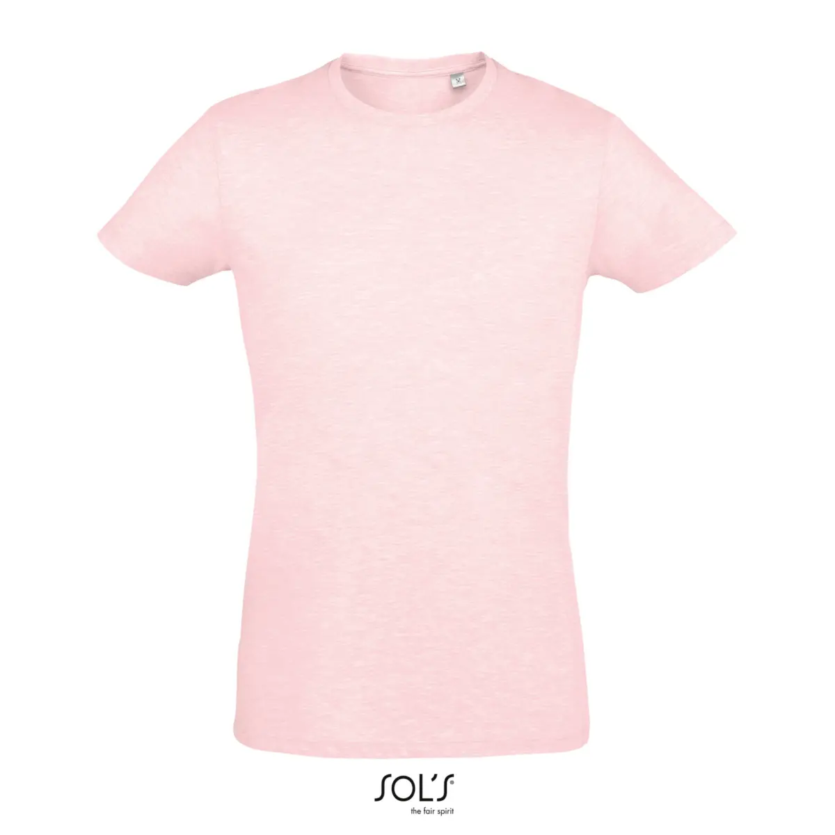 REGENT FIT - rosa vigoré