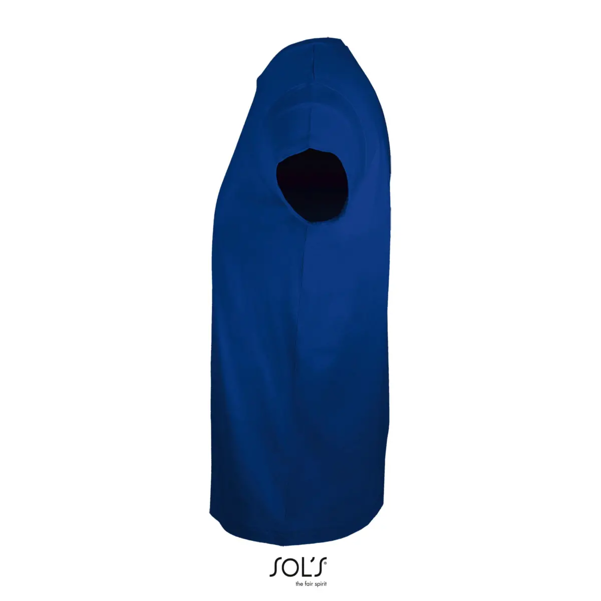 REGENT FIT - cel reial