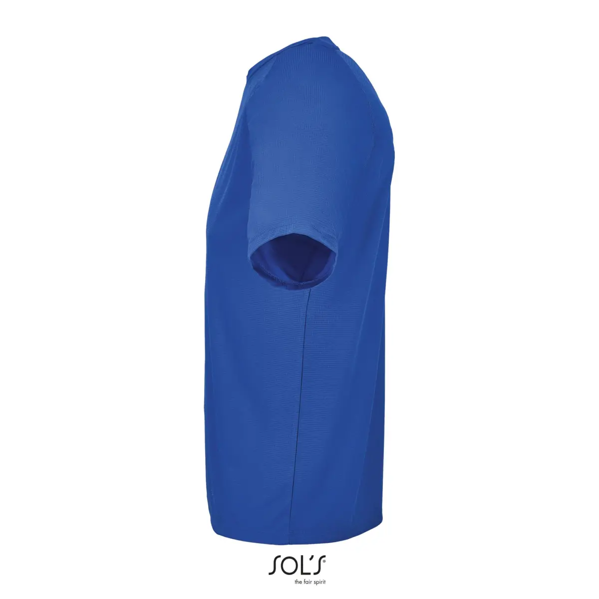 VORTEX - cel reial