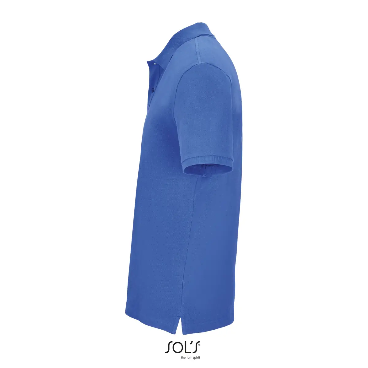 PEGASE - cel reial