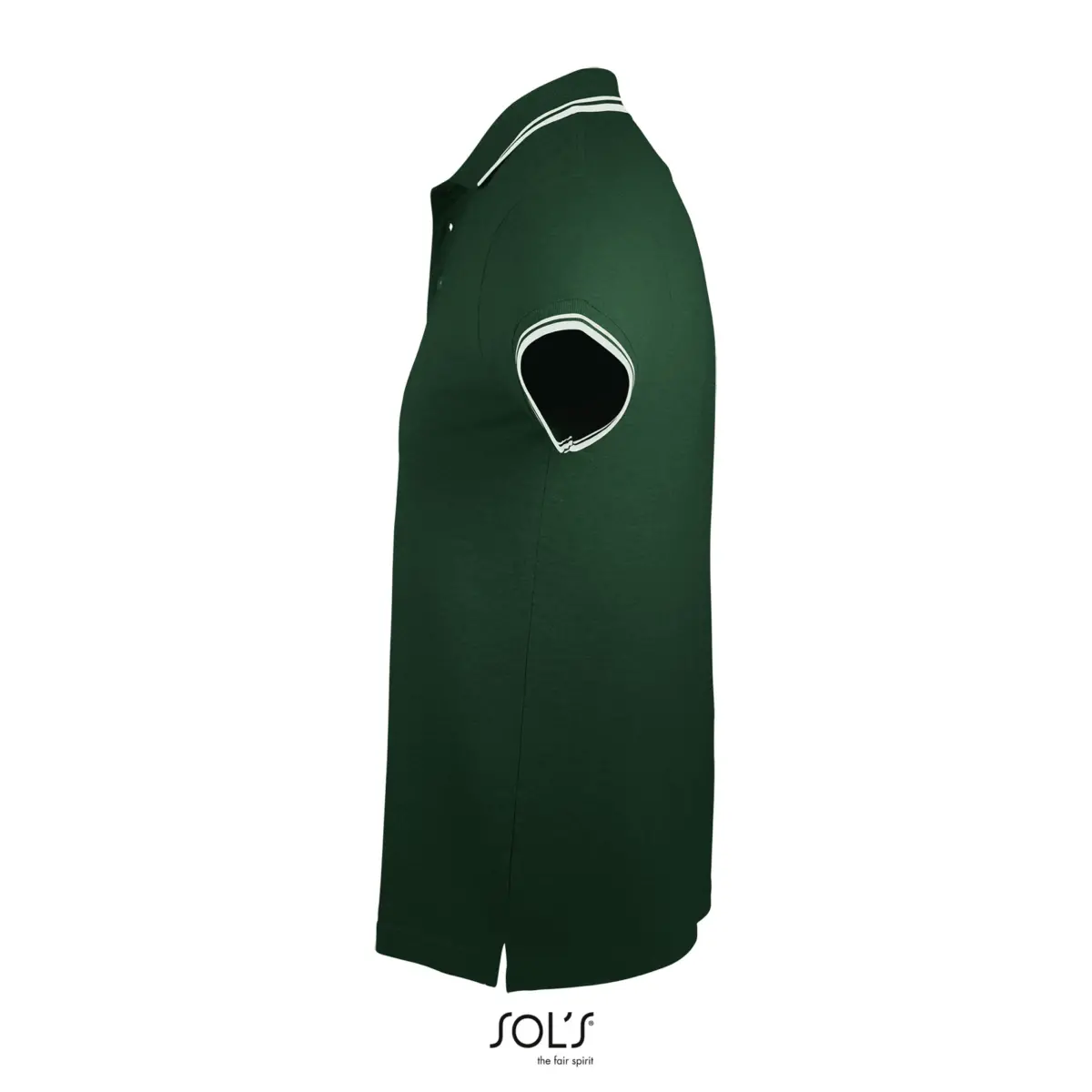 PASADENA MEN - verd bosc/blanc