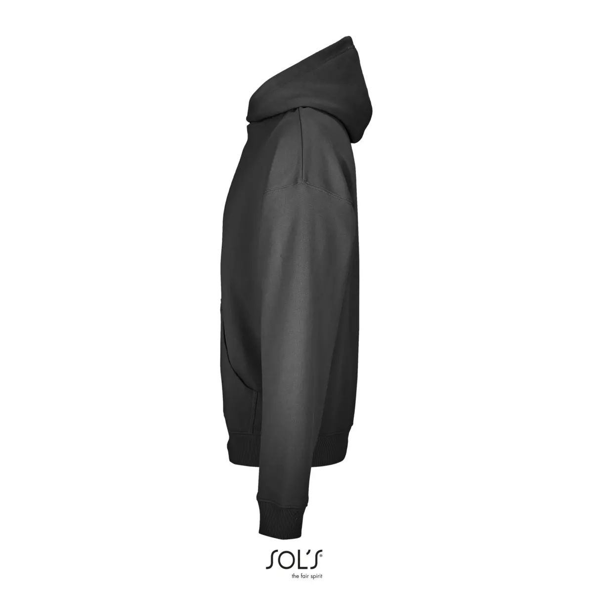 CONNOR - gris rateta