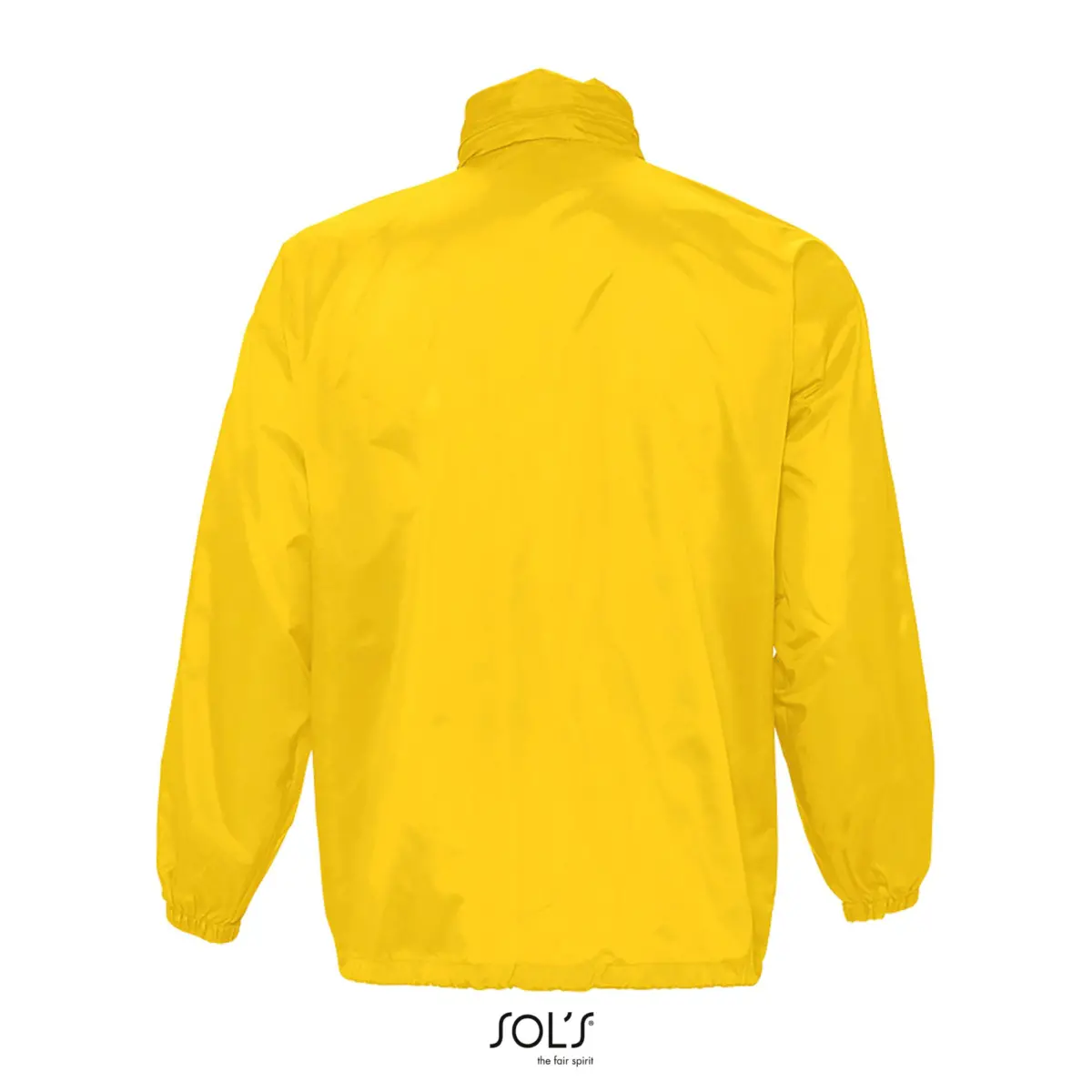 SURF - groc girasol