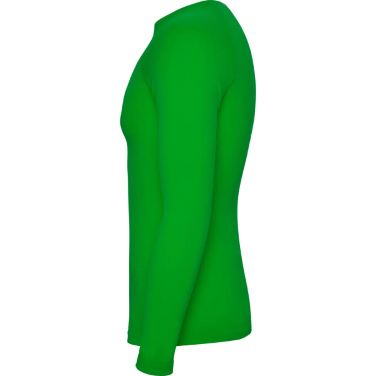 PRIME - green fern