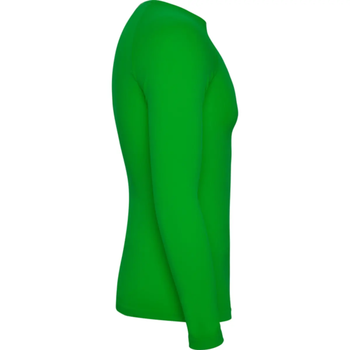 PRIME - green fern