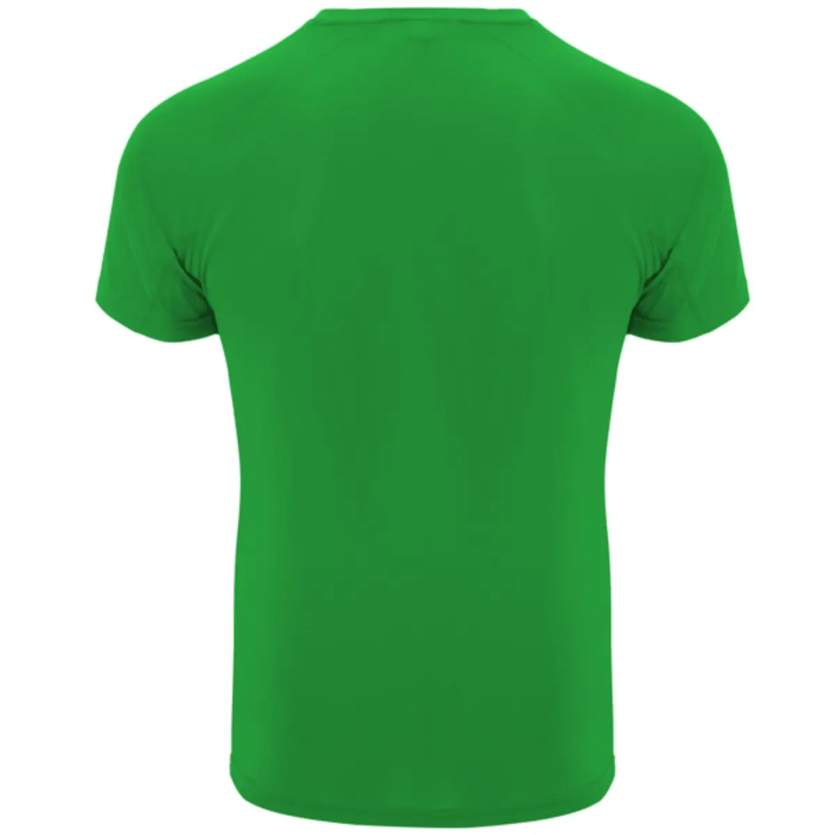 BAHRAIN - green fern