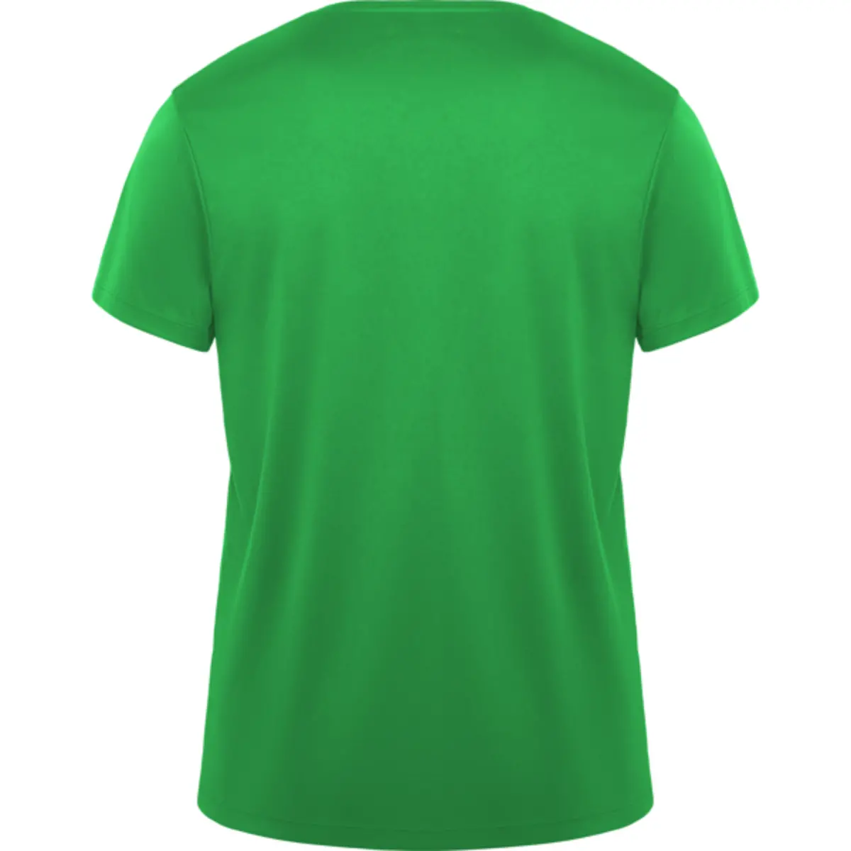 DAYTONA - verde helecho