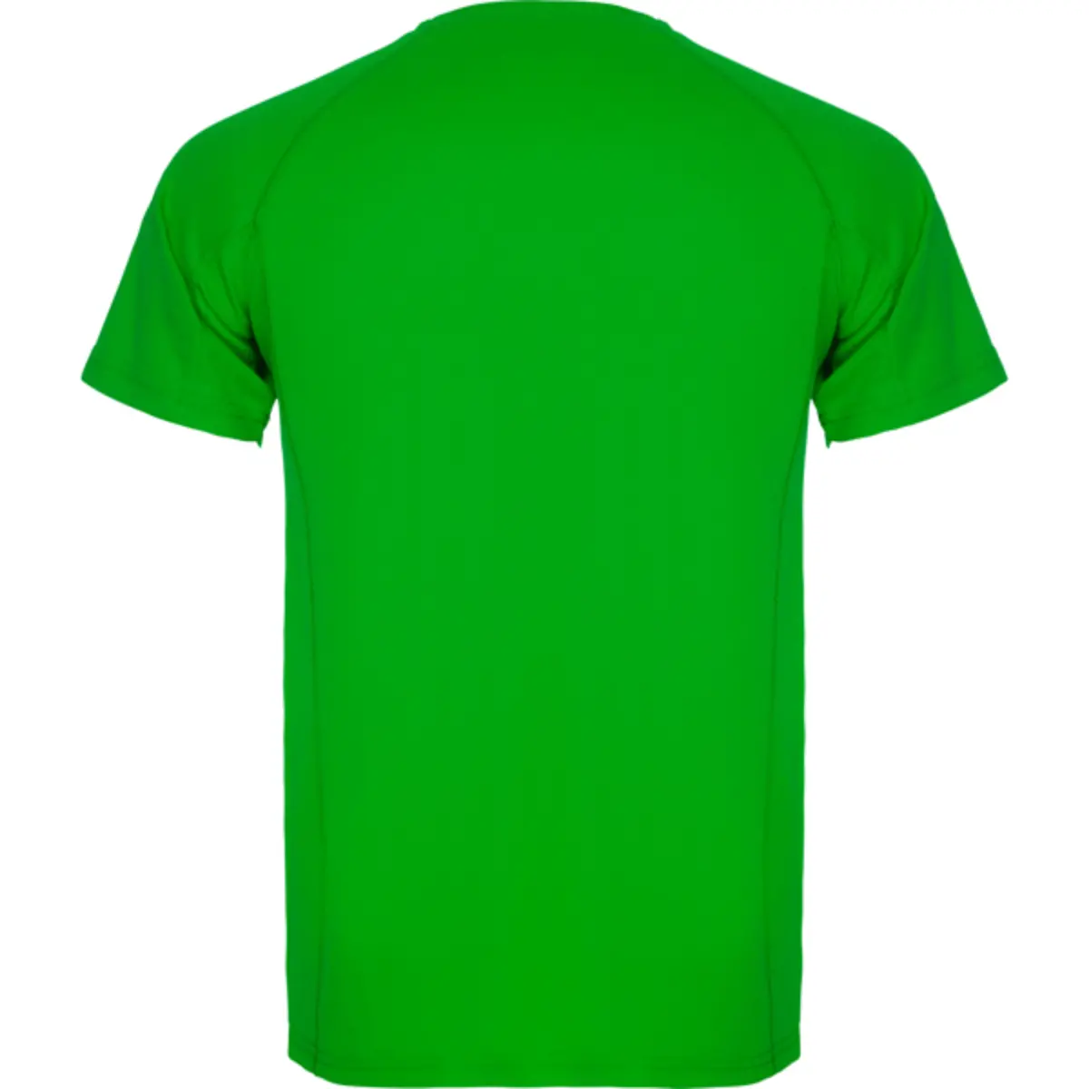 MONTECARLO - green fern