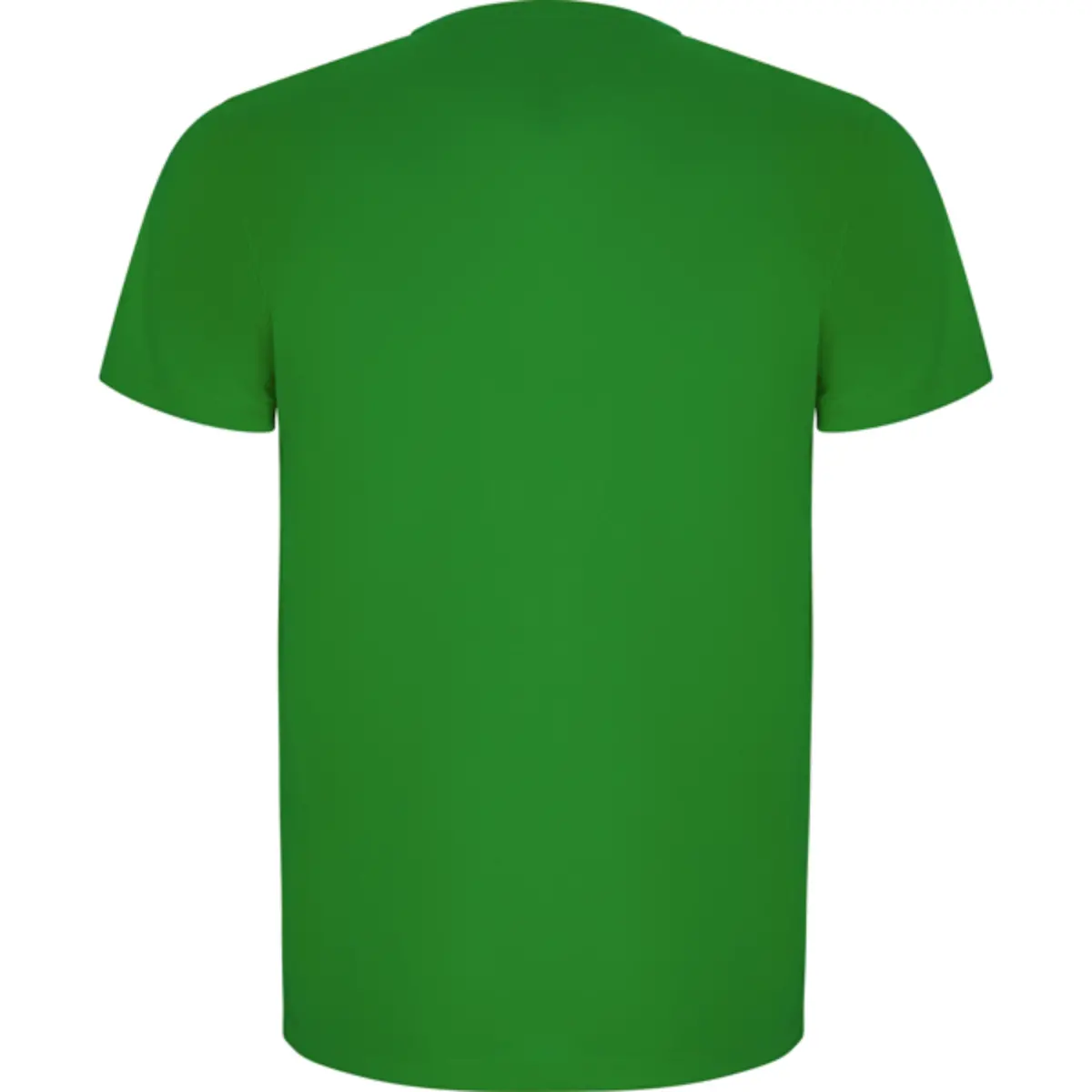 IMOLA - verde helecho