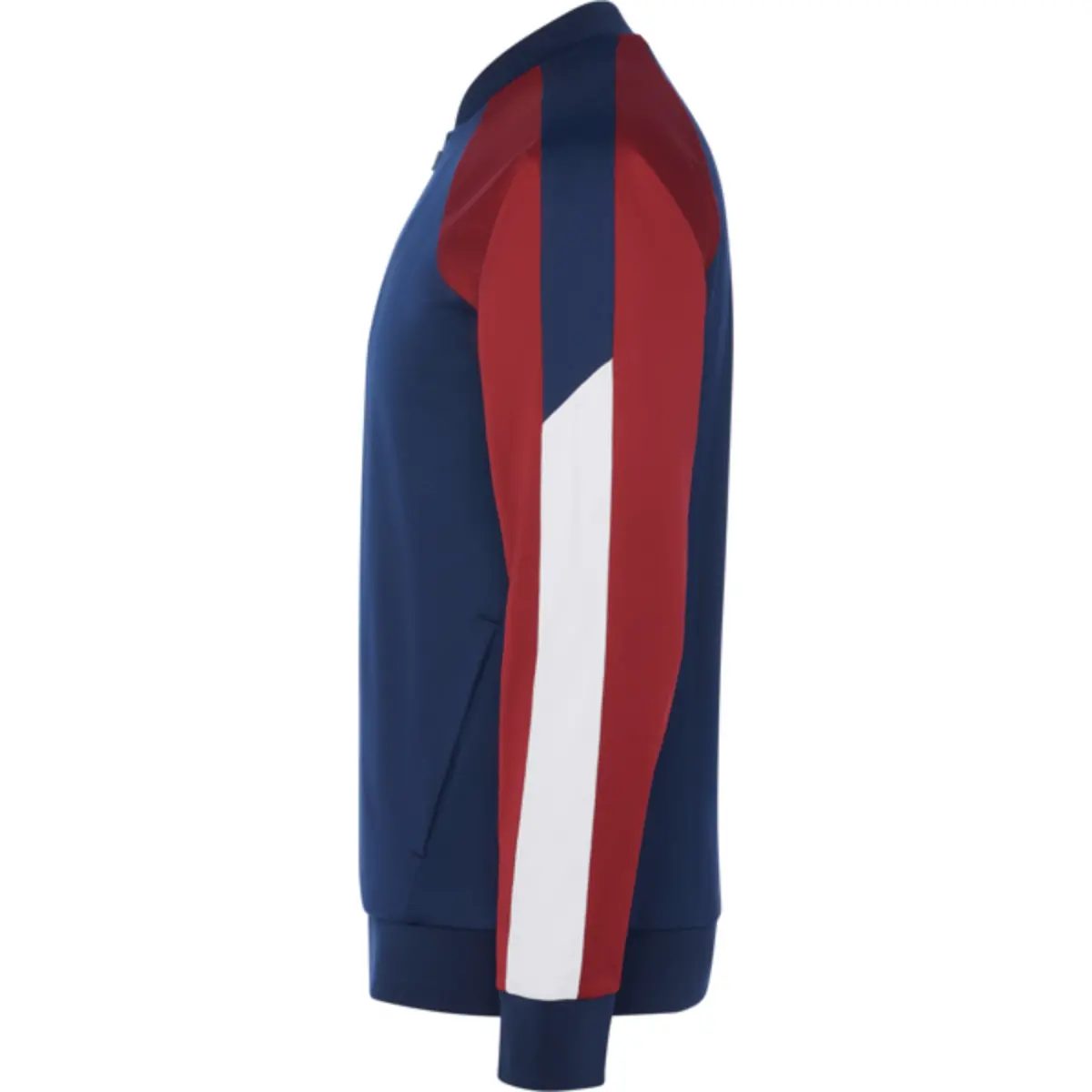 GLADIUS - burgundy/navy