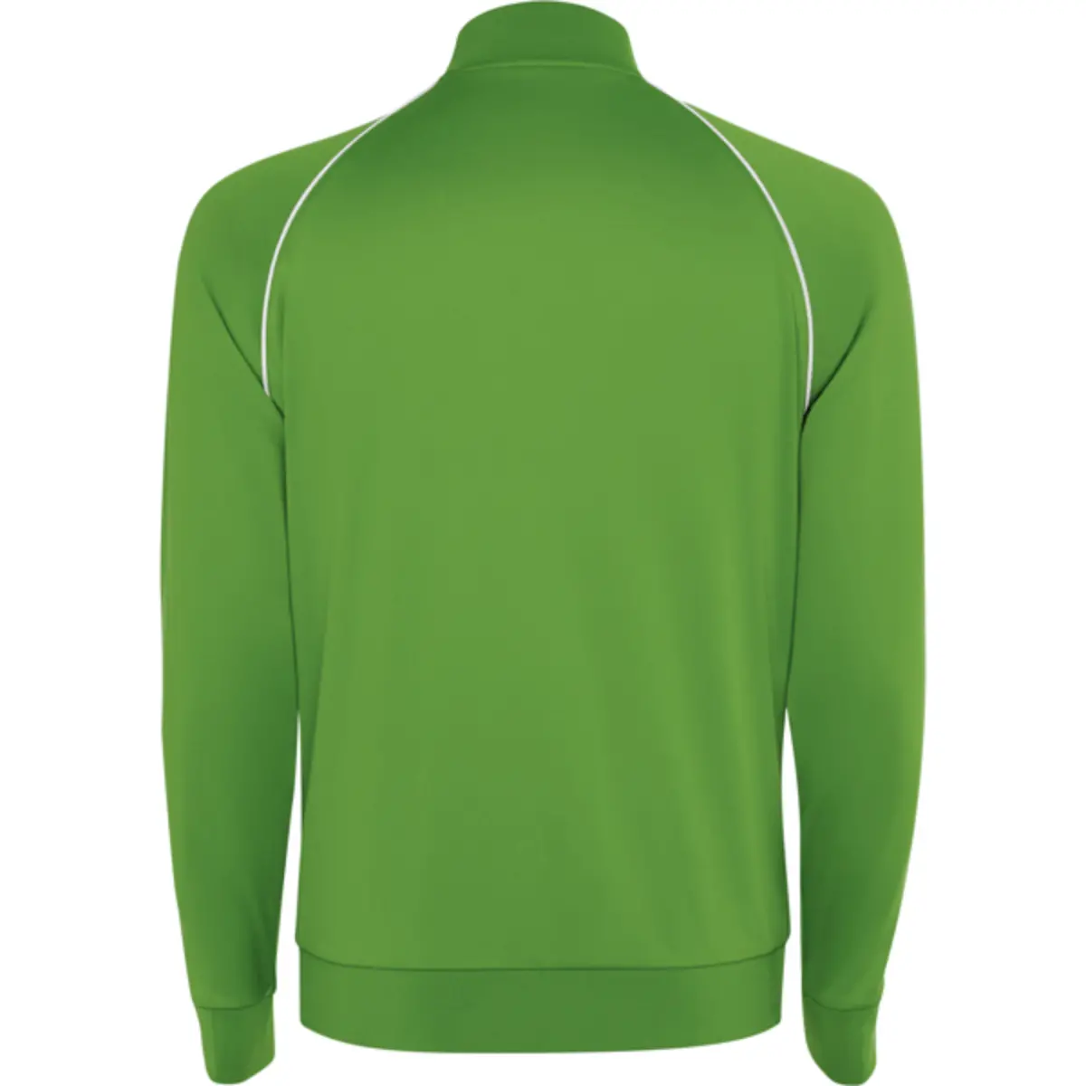 VALIER - green fern