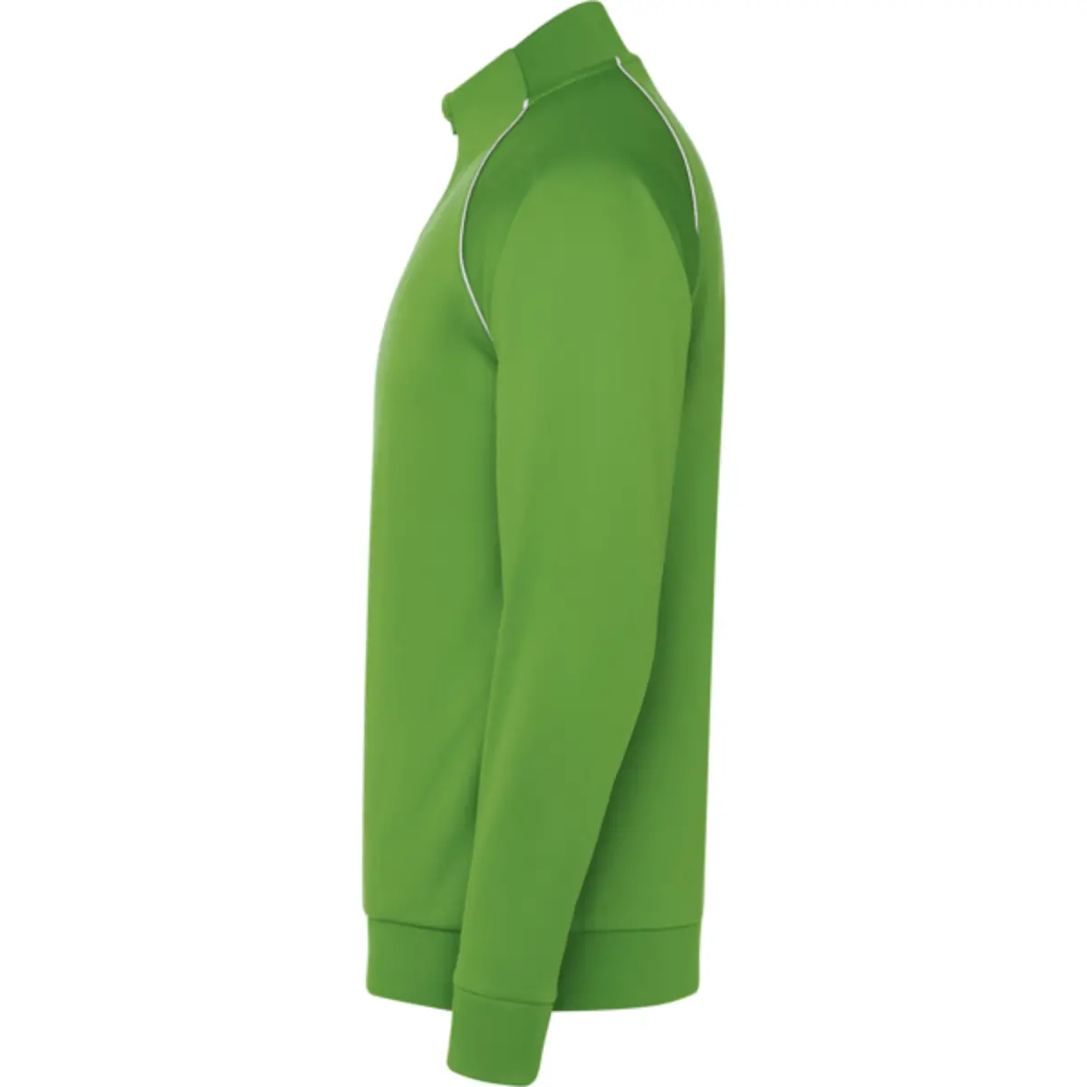 VALIER - green fern