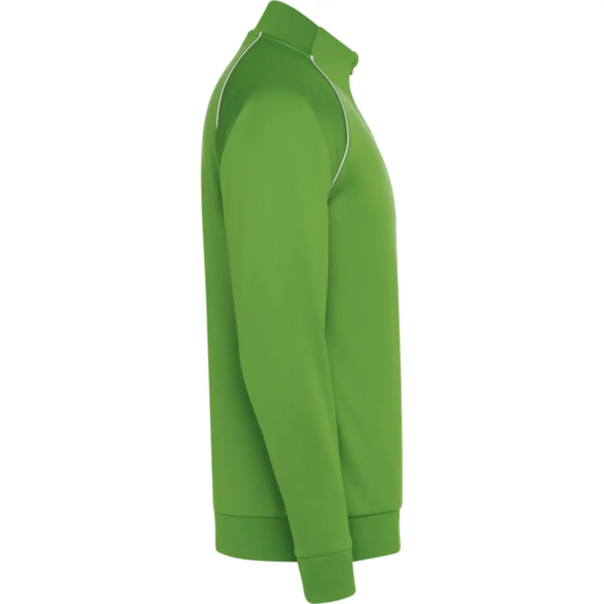 VALIER - green fern