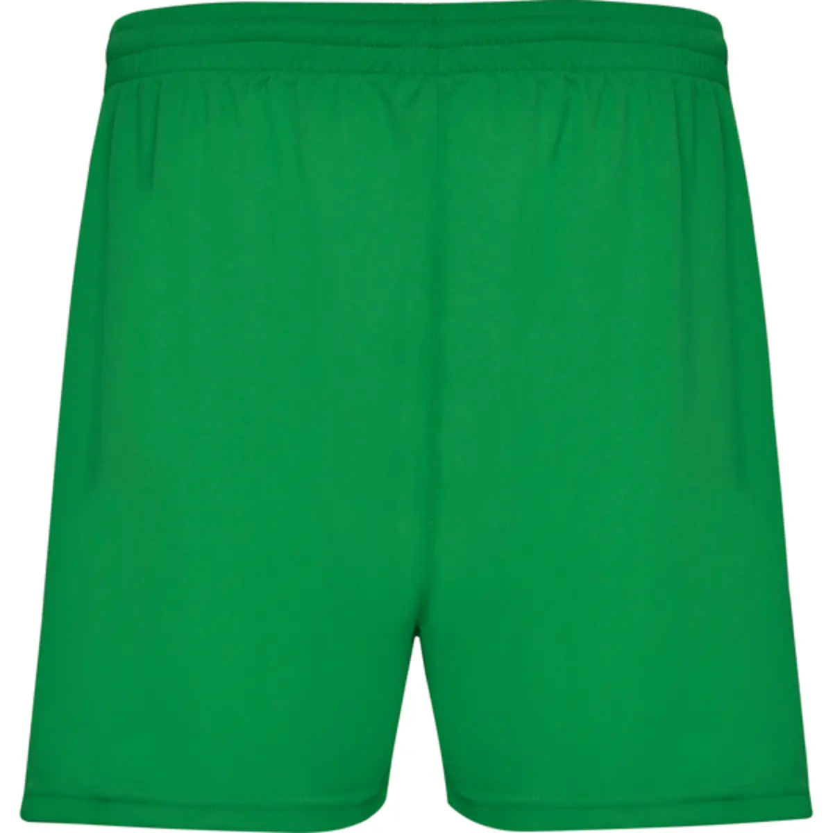CALCIO - green fern