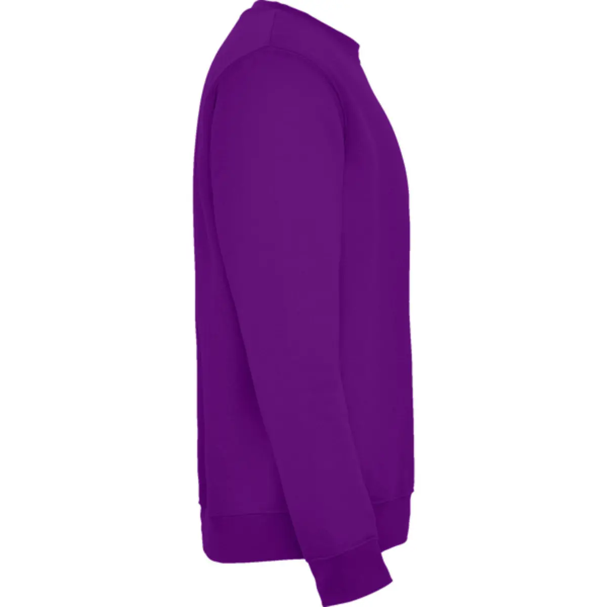 CLASICA - purple
