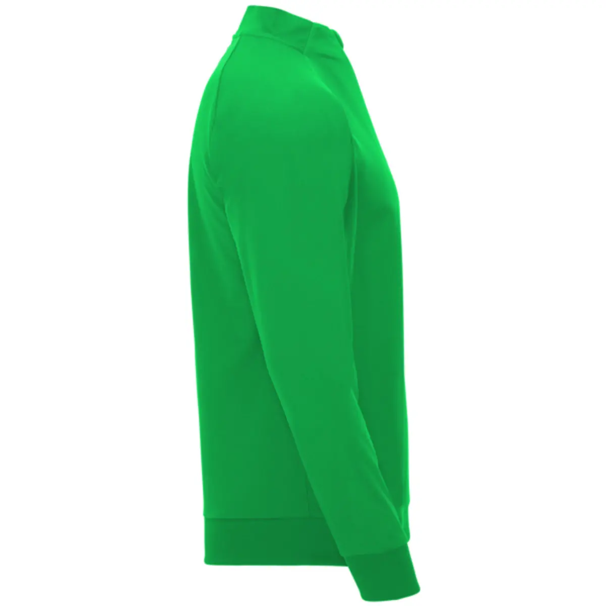 EPIRO - green fern