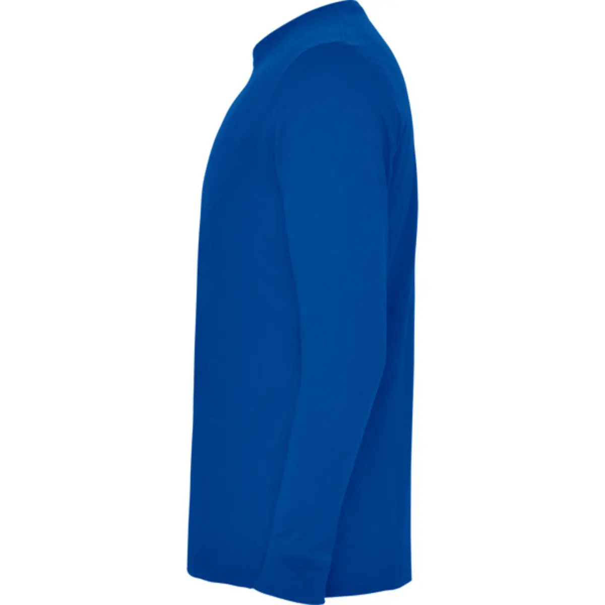 POINTER - cel reial