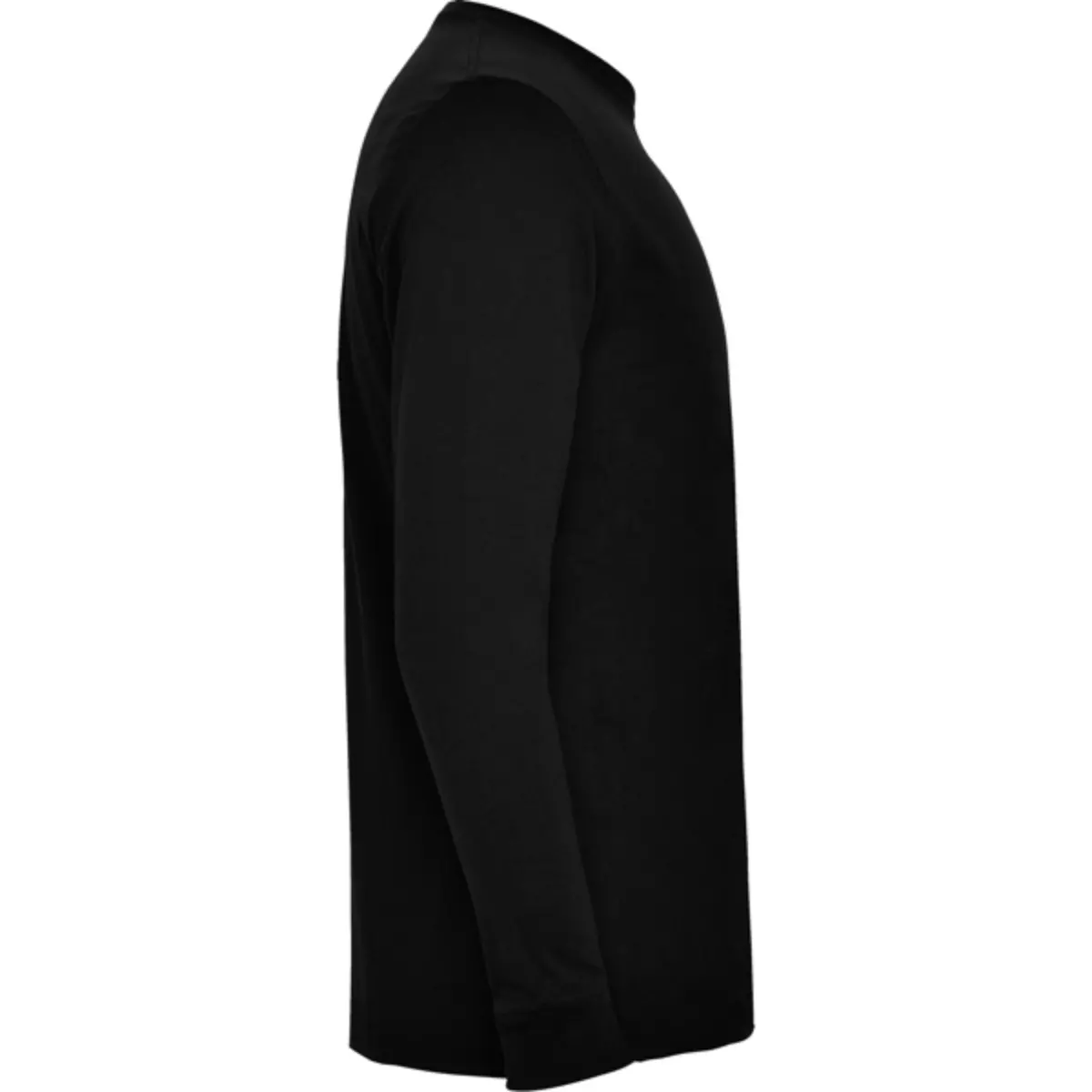 POINTER - negre