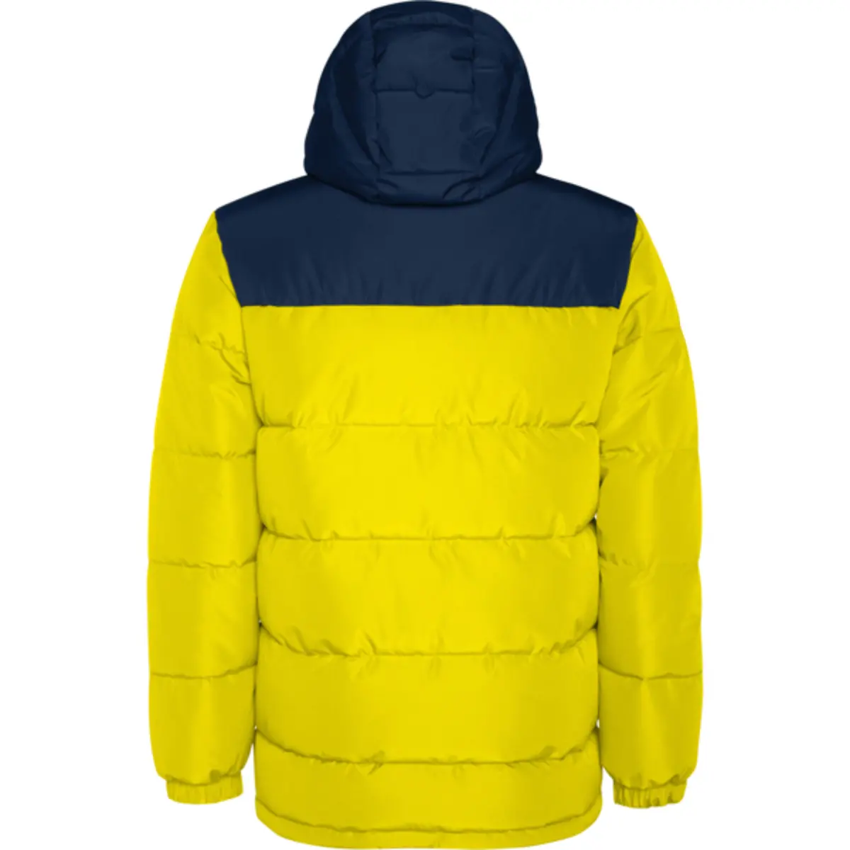 TALLIN - yellow/navy