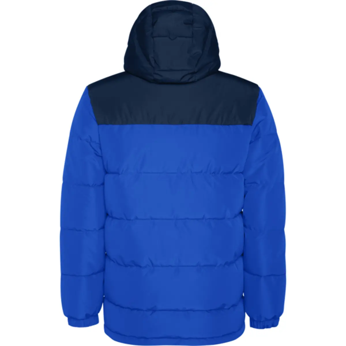 TALLIN - royal blue/navy