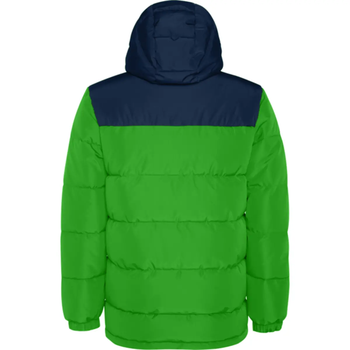 TALLIN - verd falguera/blau marí