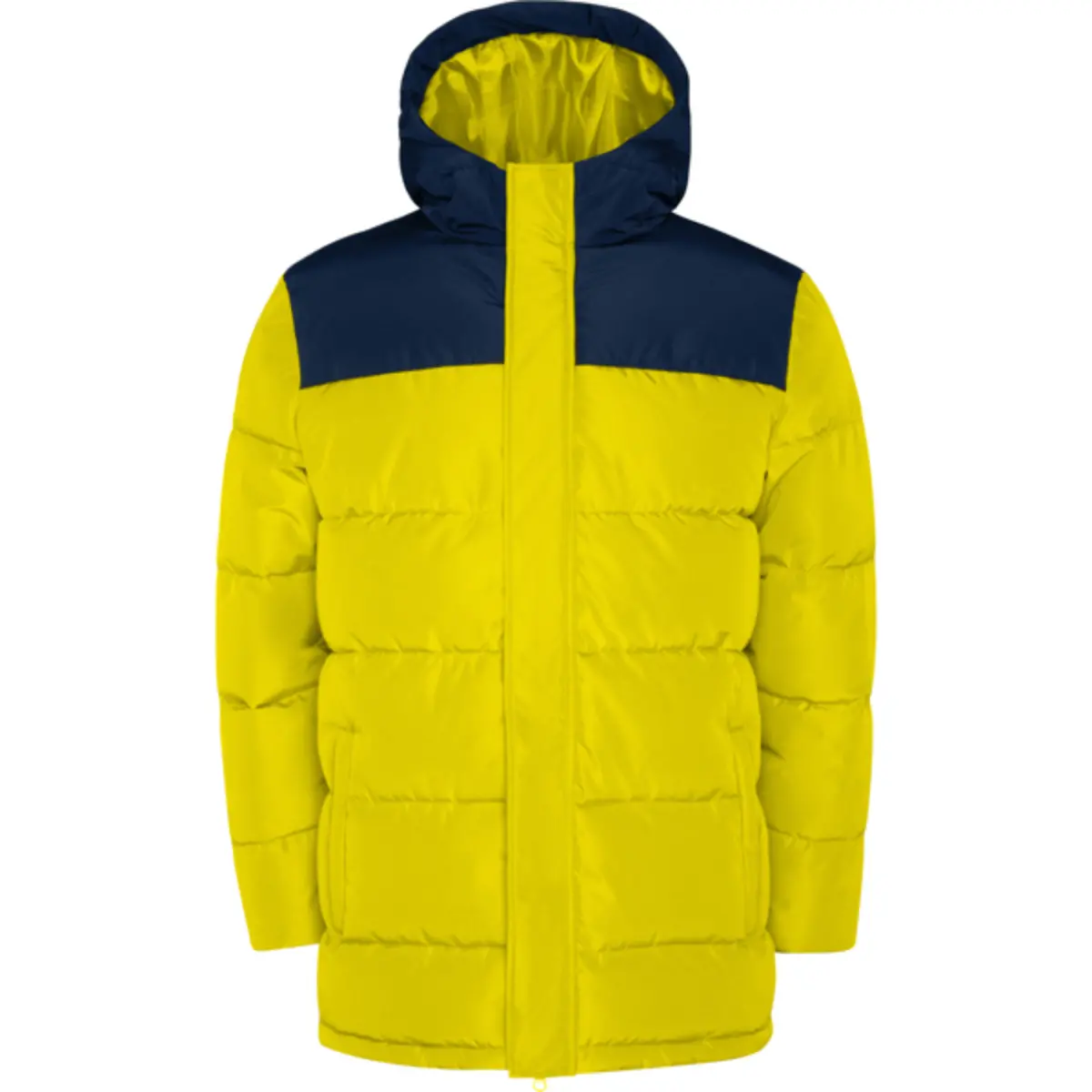 TALLIN - yellow/navy